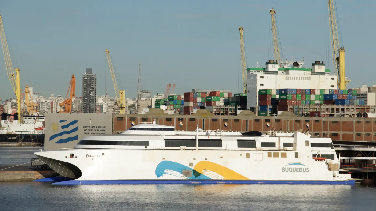 Il traghetto veloce Buquebus Francisco.