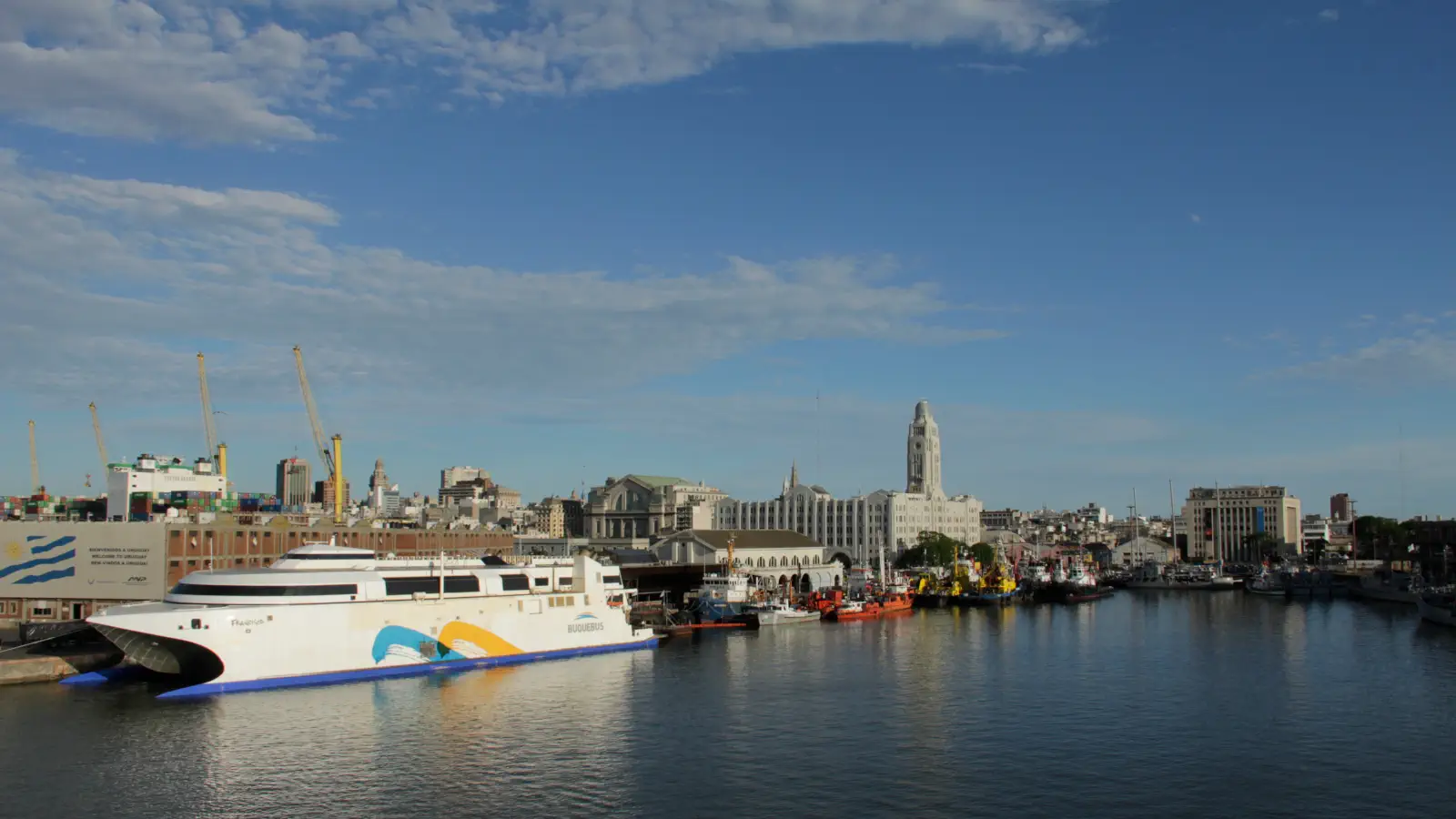 Traghetto Buquebus Vista del porto dei traghetti di Montevideo con il Francisco.