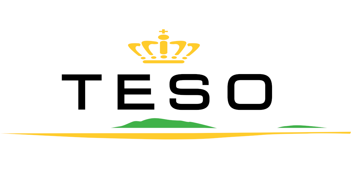 Logo TESO