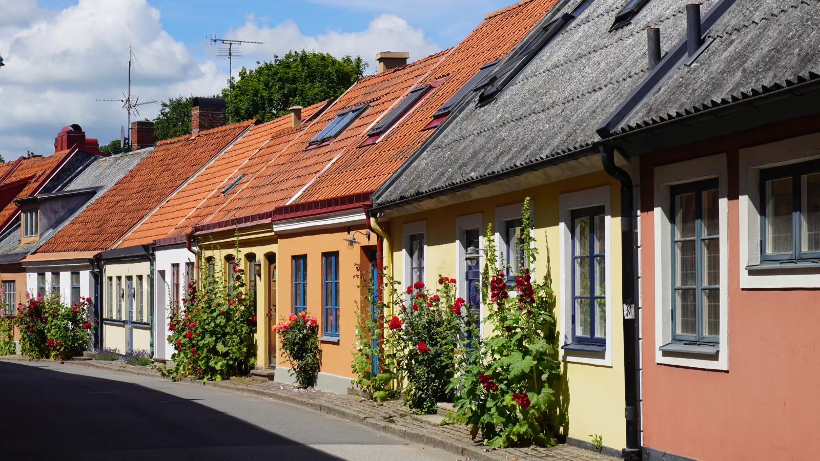 I coloratissimi vicoli di Ystad sono fiancheggiati da coloratissimi agrifogli.